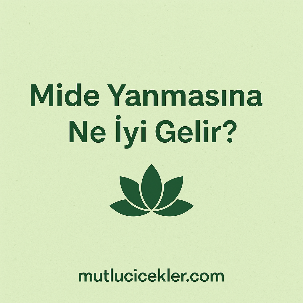 🌿 Mide Yanmasına Ne İyi Gelir? Doğru ve Etkili Yöntemlerle Rehber