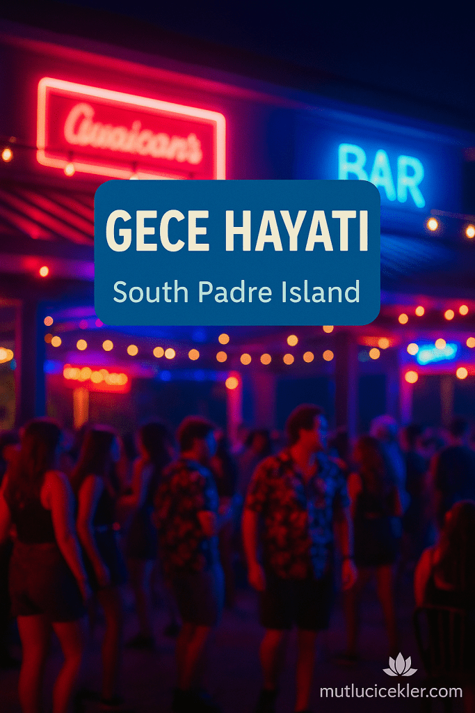 South Padre Adası'nda gece hayatını gösteren etkinlik alanı, rengarenk neon tabelalar ve kalabalık bir ortam.