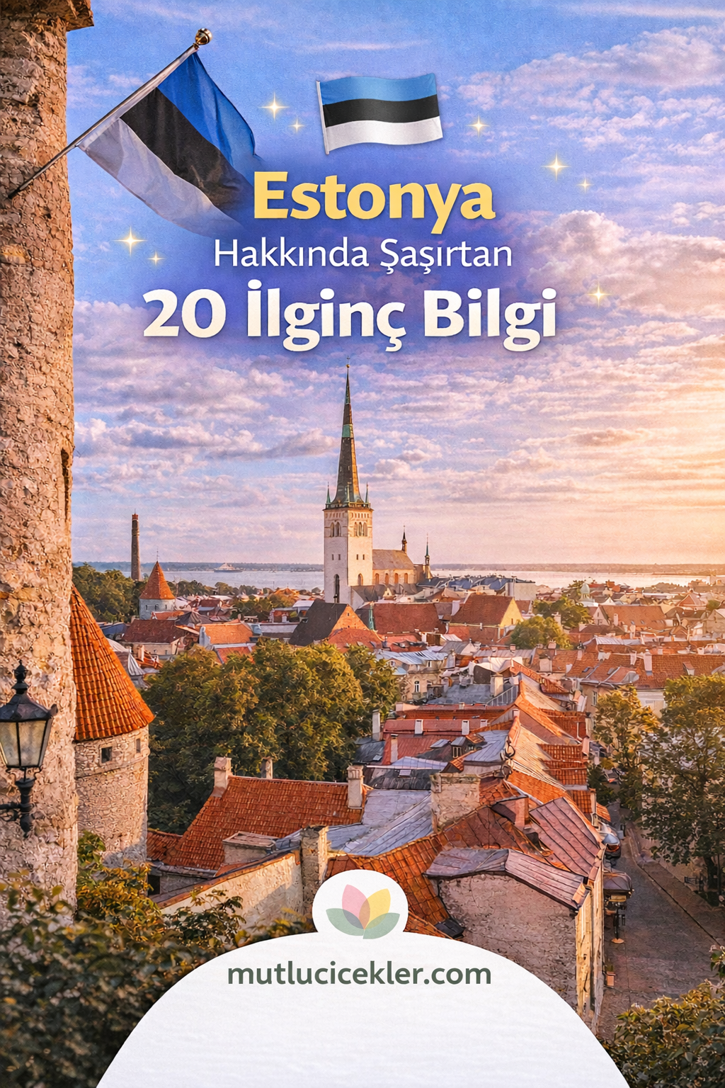 🇪🇪 Estonya Hakkında Şaşırtan 20 İlginç Bilgi: Dijital Dünyanın Sessiz Harikası