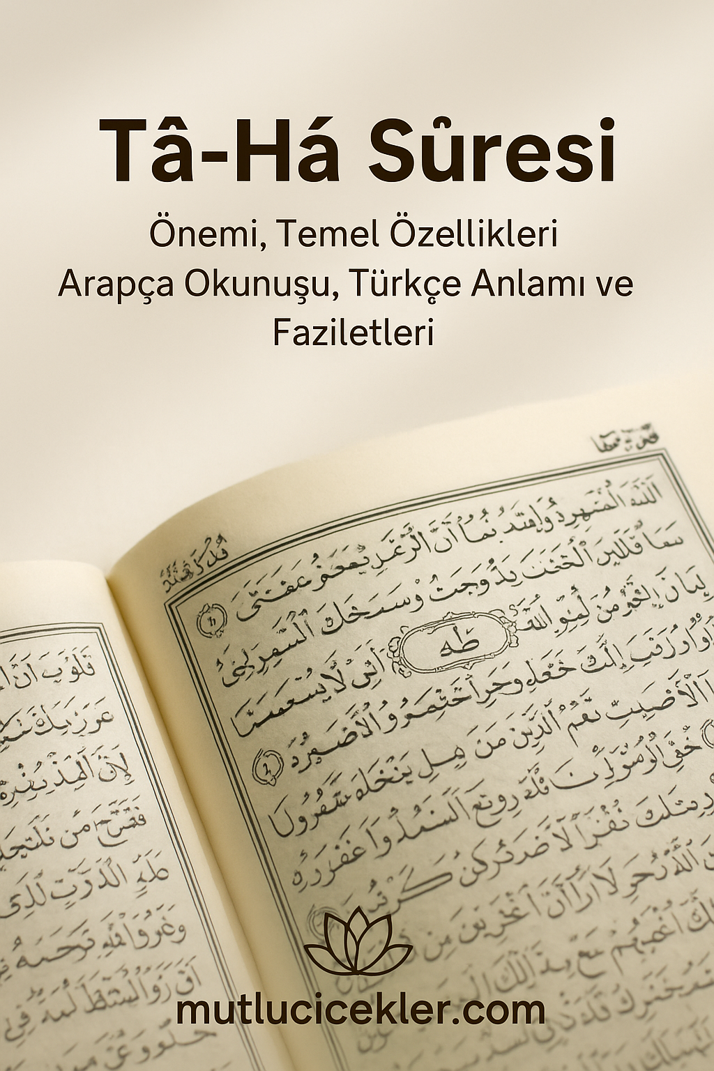 📖 Tâ-Hâ Sûresi: Önemi, Temel Özellikleri, Arapça Okunuşu, Türkçe Anlamı ve Faziletleri