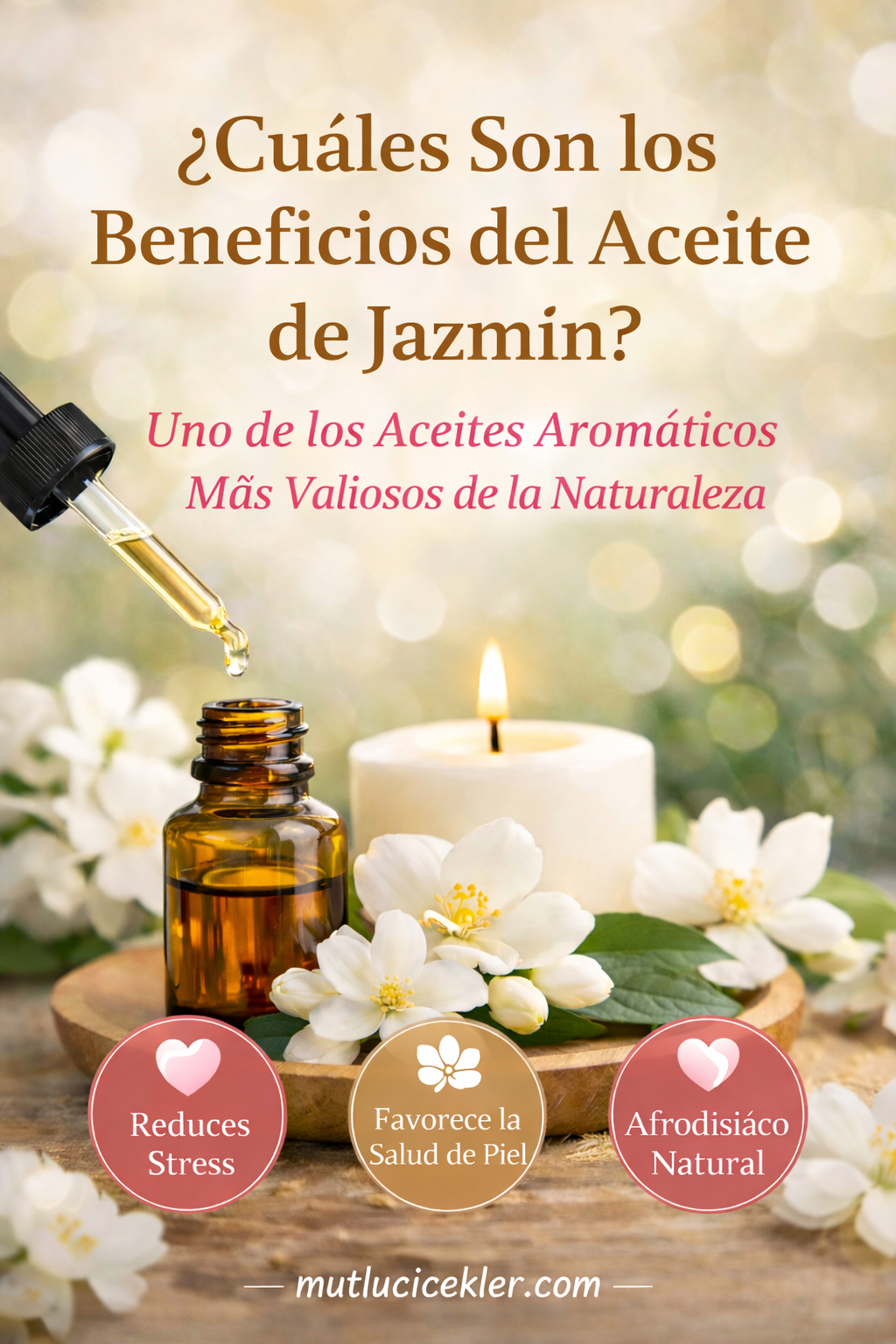 🌸 ¿Cuáles Son los Beneficios del Aceite de Jazmín? Uno de los Aceites Aromáticos Más Valiosos de la Naturaleza