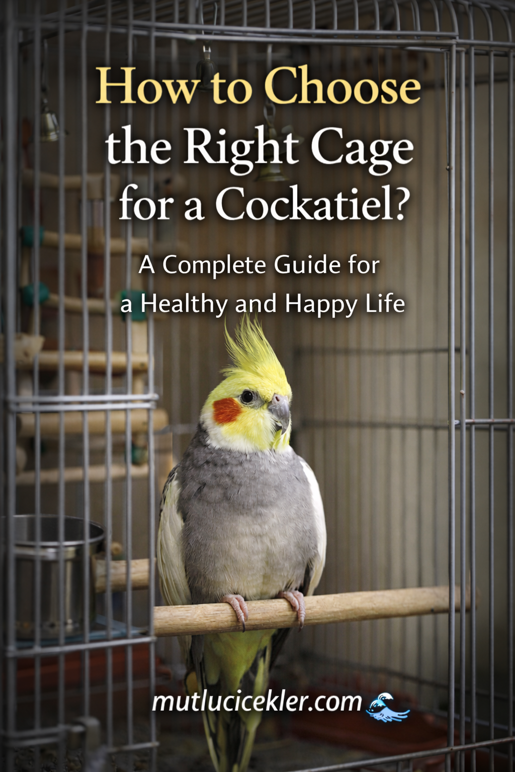 How to Choose the Right Cage for a Cockatiel? A Complete Guide for a Healthy and Happy Life