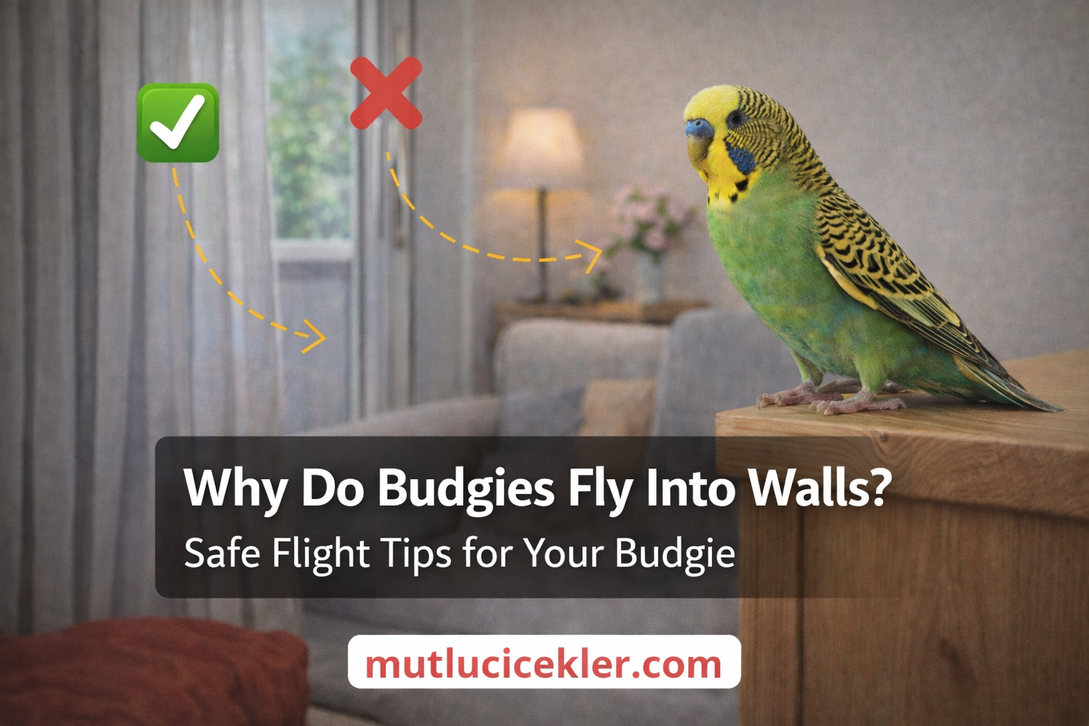 🐦 Why Does a Budgie Fly Into Walls? How to Create a Safe Flying Environment at Home