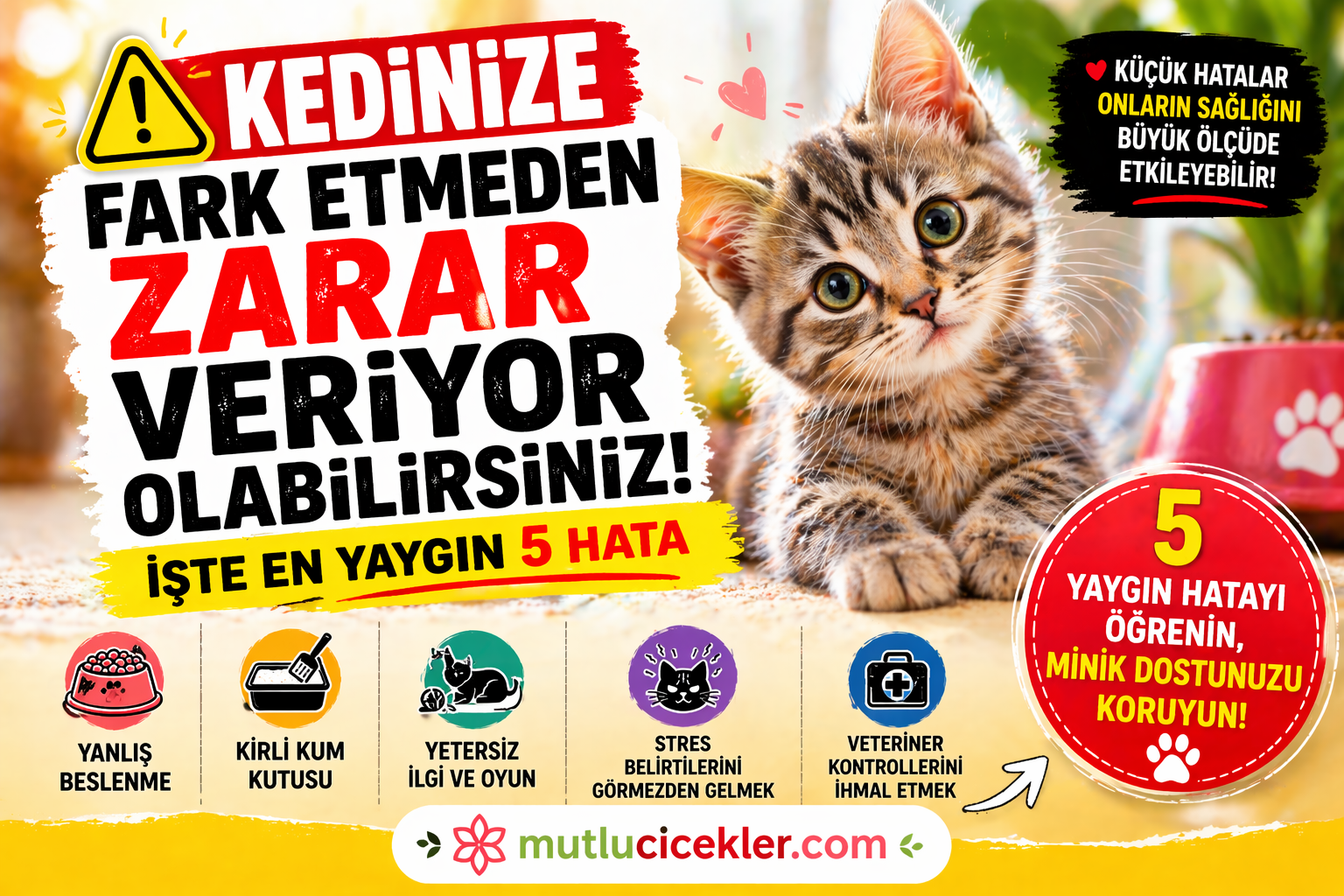 🐱 Kedinize Fark Etmeden Zarar Veriyor Olabilirsiniz! İşte En Yaygın 5 Hata