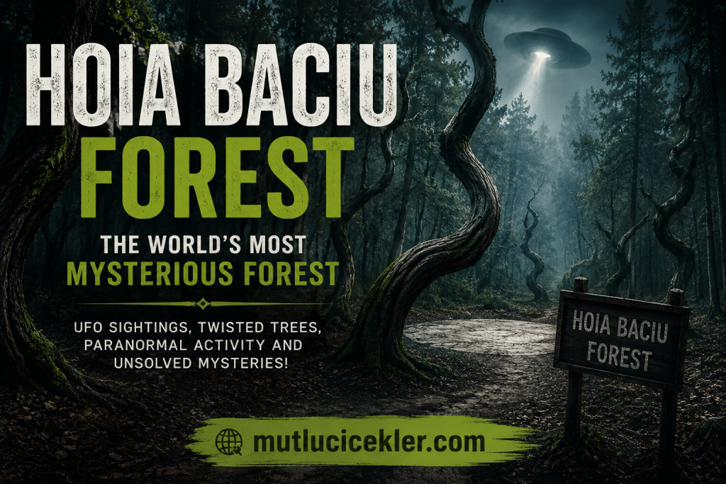 Hoia Baciu Forest: The World’s Most Mysterious Forest 🌲👻