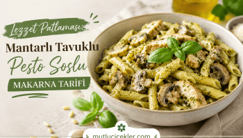 Mantarlı tavuklu pesto soslu makarna