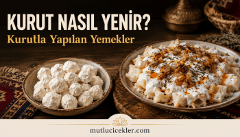 Kurut nasıl yenir ve kurutla yapılan geleneksel yemekler