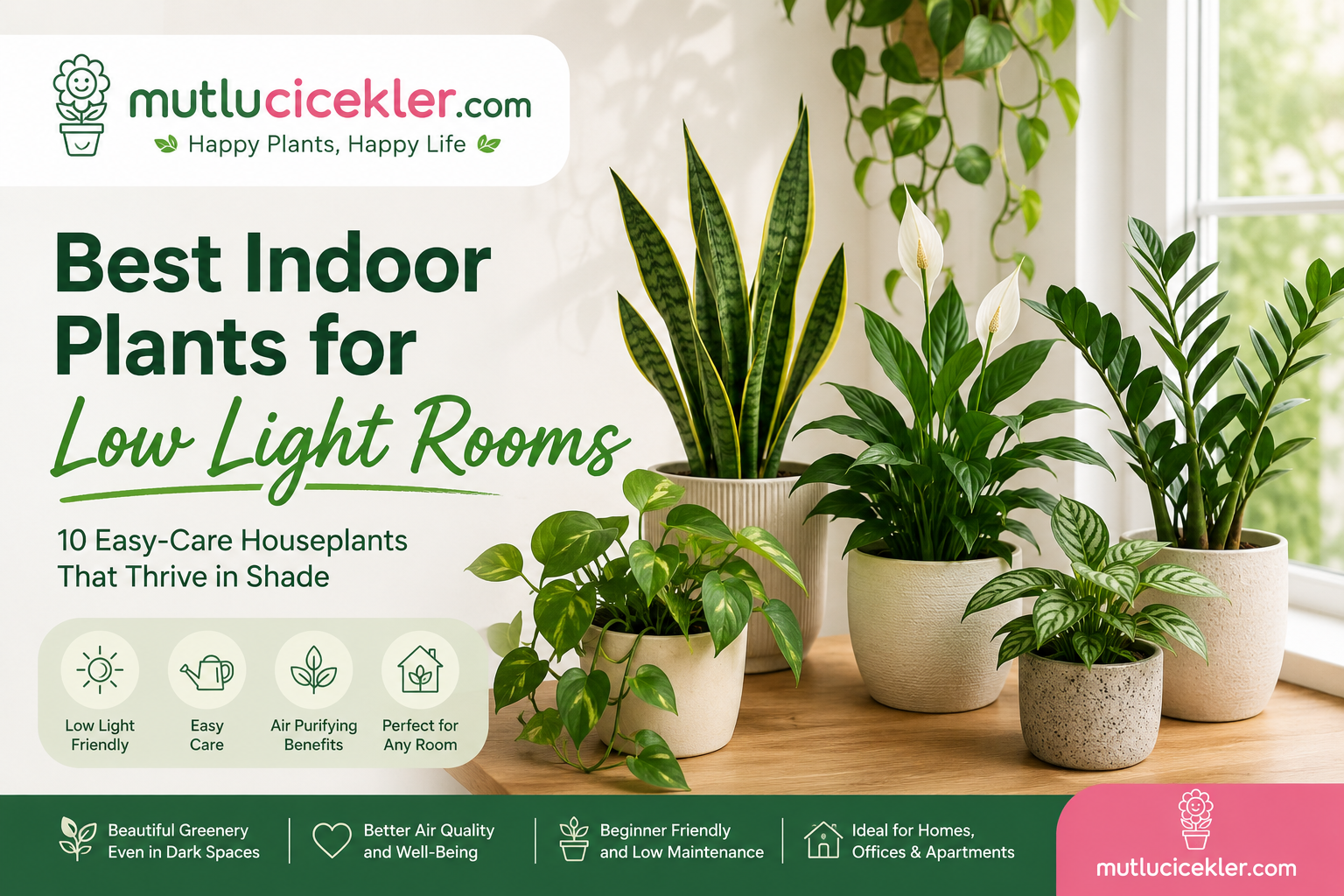 Best indoor plants for low light rooms including Snake Plant, Pothos, Peace Lily and ZZ Plant – mutlucicekler.com