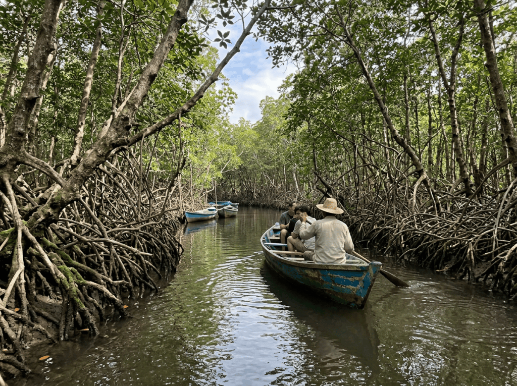 Rowboat with three people navigating a narrow waterway surrounded by mangrove trees