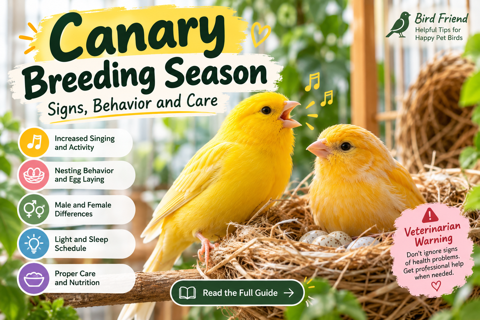 Canary Breeding Season: Signs, Duration and Care Guide