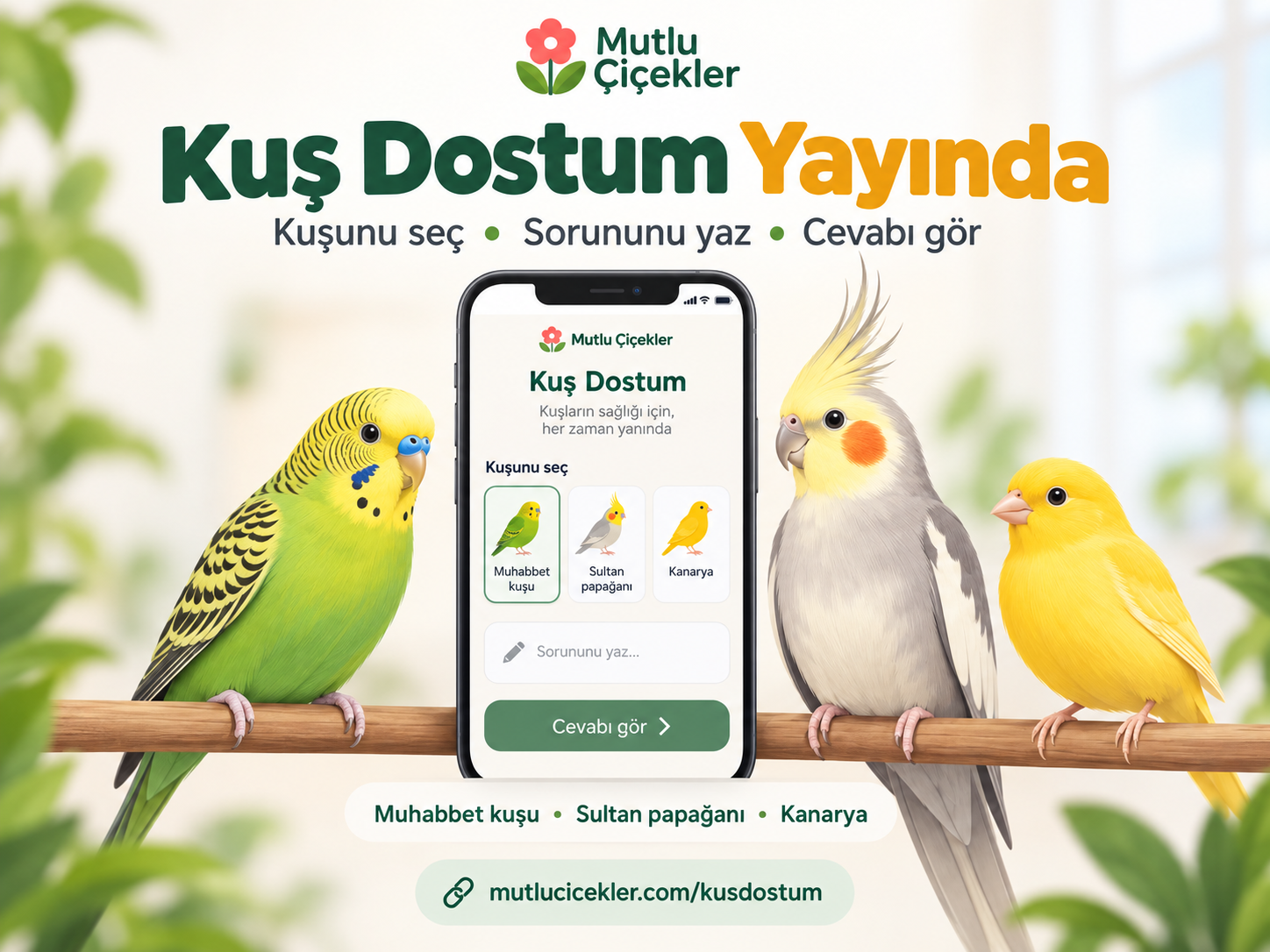 Kuş Dostum Yayında: Kuş Bakımında Yeni Uygulamamız