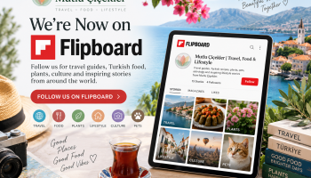 Mutlu Çiçekler Travel Food & Lifestyle magazine on Flipboard